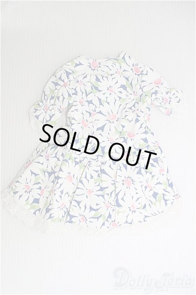 画像1: SD/半袖ドレスセット/ I-25-10-05-319-TN-ZI (1)