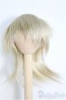 画像1: 7~8inch/ウィッグ I-25-02-09-3014-TN-ZI (1)