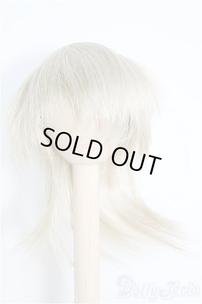 画像1: 7~8inch/ウィッグ I-25-02-09-3014-TN-ZI (1)