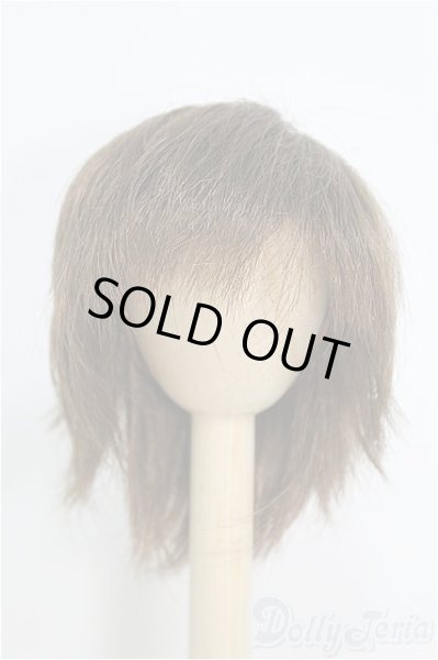 画像1: 8inch/ウィッグ I-25-01-12-3012-TN-ZI (1)