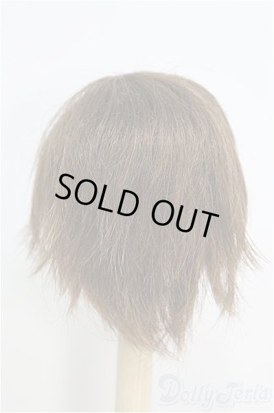 画像2: 8inch/ウィッグ I-25-01-12-3012-TN-ZI (2)