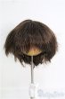 画像1: 6〜7ｉｎｃｈ/ウィッグ I-25-02-09-2012-TN-ZI (1)