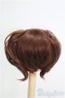 画像2: 6〜7inch/ウィッグ I-25-01-26-3028-TN-ZI (2)