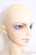 画像4: SD17BOY/土方歳三(洋装) I-25-04-13-1002-TN-ZI (4)