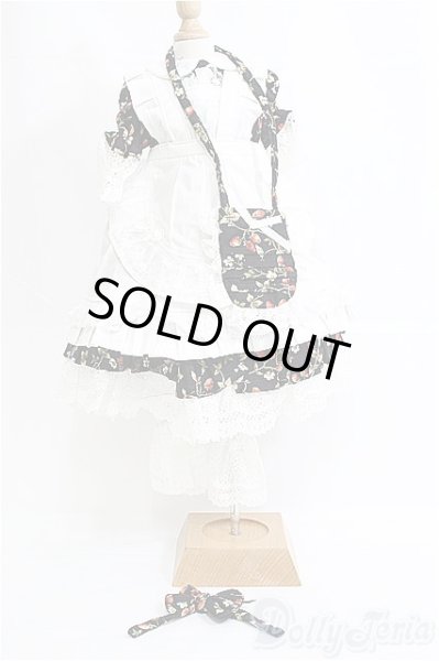 画像1: SD13GIRL/ドレスセット/ I-25-11-23-397-TN-ZI (1)