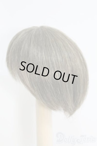 画像2: 6〜7inch/ウィッグ I-25-04-20-3013-TO-ZI (2)