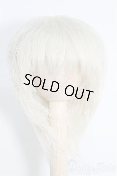 画像1: 7〜8inch/ウィッグ I-25-02-09-3015-TO-ZI (1)