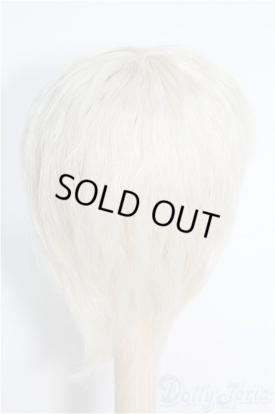 画像2: 7〜8inch/ウィッグ I-25-02-09-3015-TO-ZI (2)