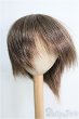 画像1: 9〜10inch/ウィッグ I-25-02-23-2024-TN-ZI (1)