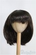 画像1: 9〜10inch/ウィッグ I-25-04-06-3027-TO-ZI (1)