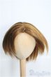 画像1: 9〜10inch/ウィッグ I-25-02-23-2026-TN-ZI (1)