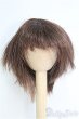 画像1: ウィッグ/7-8inch I-25-04-13-2018-TO-ZI (1)