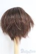画像3: ウィッグ/7-8inch I-25-04-13-2018-TO-ZI (3)