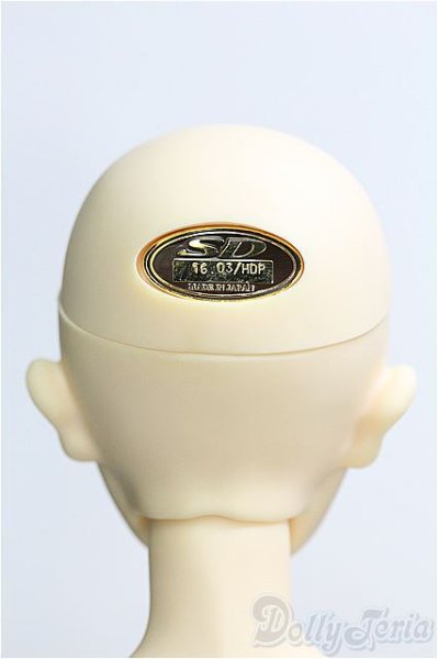 画像5: SDBOY/リゲル 星間学寮ver./ I-25-08-17-301-TO-ZI (5)