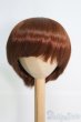 画像1: 9〜10inch/ウィッグ I-25-06-01-3039-TN-ZI (1)