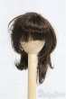 画像1: 7-8inch/ウィッグ I-25-04-13-3011-TN-ZI (1)