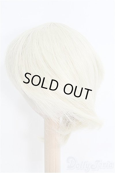 画像2: 9inch/ウィッグ I-25-04-06-2023-TO-ZI (2)