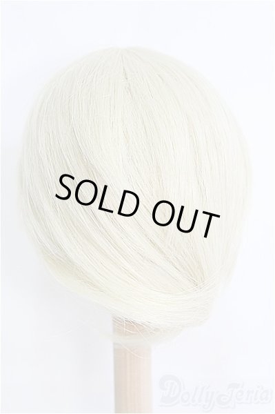 画像3: 9inch/ウィッグ I-25-04-06-2023-TO-ZI (3)