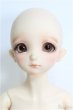 画像1: 【SALE】SDMBOY/コーディネートモデル：F-48番ヘッド I-24-09-08-1004-TO-ZI (1)