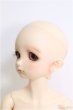 画像2: 【SALE】SDMBOY/コーディネートモデル：F-48番ヘッド I-24-09-08-1004-TO-ZI (2)