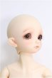 画像3: 【SALE】SDMBOY/コーディネートモデル：F-48番ヘッド I-24-09-08-1004-TO-ZI (3)