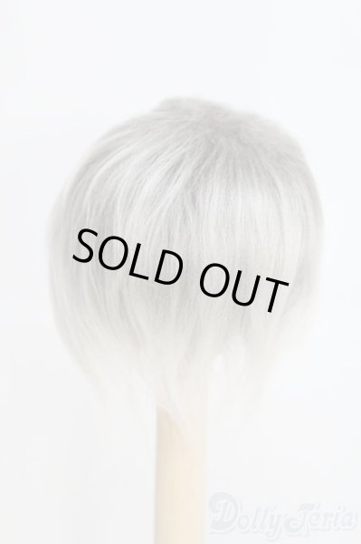 画像2: 6.5inch/ウィッグ：ユノアB-elデフォルトウィッグ/ I-25-07-13-3017-TO-ZI (2)