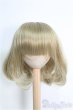 画像1: 9〜10inch/ウィッグ I-25-02-09-3026-KN-ZI (1)