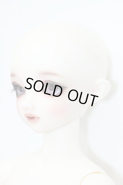 画像3: SDGIRL/リーゼロッテ the Best of the Bests Ver.2019 S-24-10-09-027-TN-ZS (3)