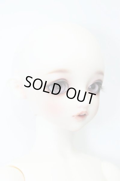 画像4: SDGIRL/リーゼロッテ the Best of the Bests Ver.2019 S-24-10-09-027-TN-ZS (4)