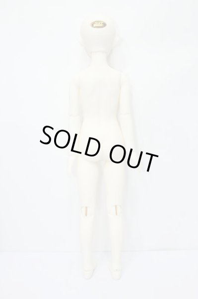 画像6: SDGIRL/リーゼロッテ the Best of the Bests Ver.2019 S-24-10-09-027-TN-ZS (6)