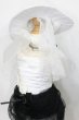 画像2: SD13Girl/OF:DollHeart製ドレスセット（LD000500） S-25-01-26-329-GN-ZS (2)
