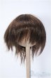 画像1: 7〜8inchウィッグ/ショート Y-25-01-08-256-YB-ZY (1)