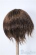 画像2: 7〜8inchウィッグ/ショート Y-25-01-08-256-YB-ZY (2)
