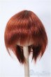 画像1: 7〜8inchウィッグ/ショート(赤系) Y-25-01-08-250-YB-ZY (1)