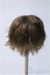 画像2: 9〜10inchウィッグ/ウェーブショート Y-24-12-25-125-TN-ZY (2)