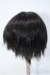 画像2: 8〜9inchウィッグ/ショート Y-25-01-08-218-TN-ZY (2)