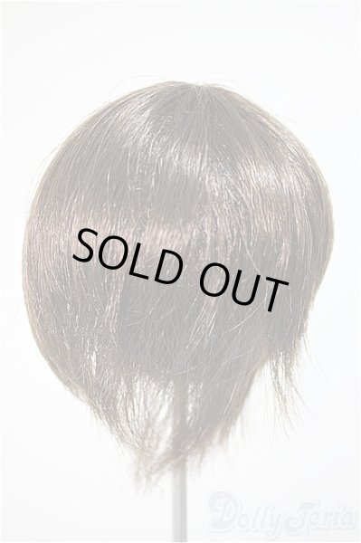 画像2: 8〜9inchウィッグ/ショート/インチ　BJD　MJD　ドール用 A-25-10-22-375-YB-ZA (2)