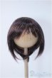 画像1: 8〜9inchウィッグ/ショート Y-25-01-08-275-YB-ZY (1)