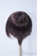 画像2: 8〜9inchウィッグ/ショート Y-25-01-08-275-YB-ZY (2)