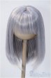 画像1: 8-9inch/ウィッグ:なにぬねこみや製 Y-25-02-19-149-TN-ZY (1)