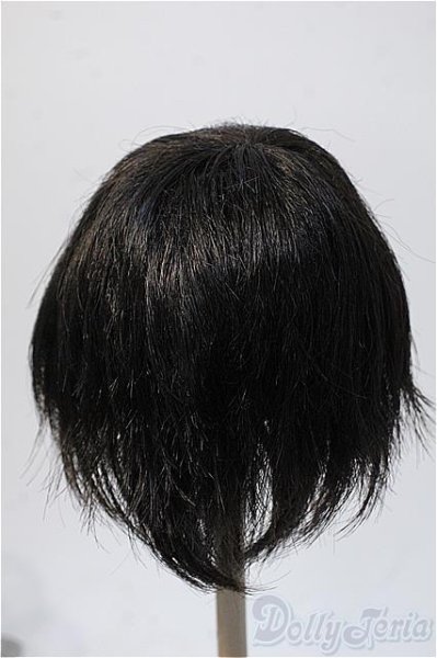 画像2: 9-10inchウィッグ Y-25-02-19-203-YB-ZY (2)