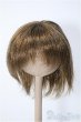 画像1: 7〜8inchウィッグ/ショート Y-25-01-08-257-YB-ZY (1)