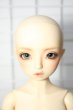画像3: SDM/スタンダード ダイ Y-24-10-30-220-YB-ZY (3)