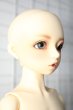 画像4: SDM/スタンダード ダイ Y-24-10-30-220-YB-ZY (4)