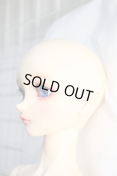 画像3: SD/フルチョイス:SD-F-100ヘッド Y-24-04-24-001-YB-ZY (3)