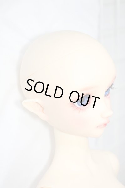 画像4: SD/フルチョイス:SD-F-100ヘッド Y-24-04-24-001-YB-ZY (4)