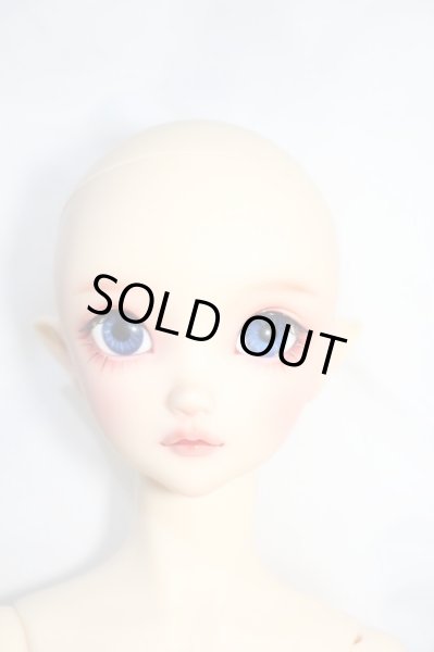 画像5: SD/フルチョイス:SD-F-100ヘッド Y-24-04-24-001-YB-ZY (5)