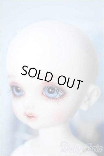 画像3: 幼SD/L'oiseau bleu 青い鳥(ロワゾブル) Y-24-05-29-001-YB-ZY (3)