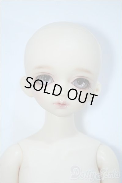 画像6: SDM/F-39：フルチョイス Y-24-06-19-178-YD-ZY (6)