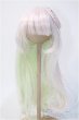 画像1: 9inch/ウィッグ：MIMIEL様製 Y-25-02-12-058-TN-ZY (1)